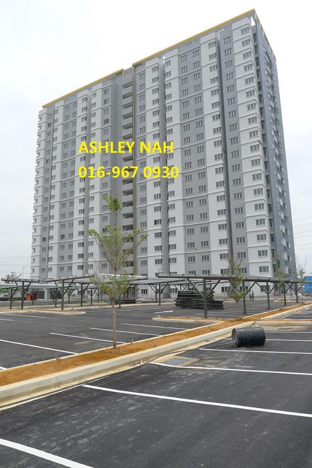 11112941_439676489529707_7516127160140729056_n