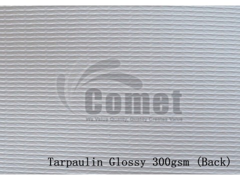 Tarpaulin Glossy ±0.270 (300gsm)图2