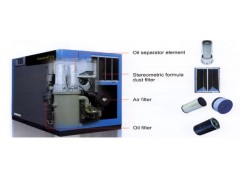 Kobelion II-VS Air Compressor图2