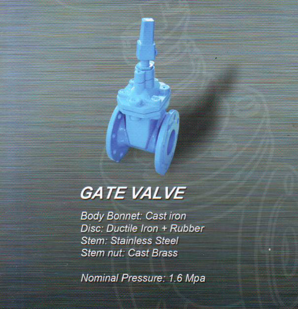 Gate Valve