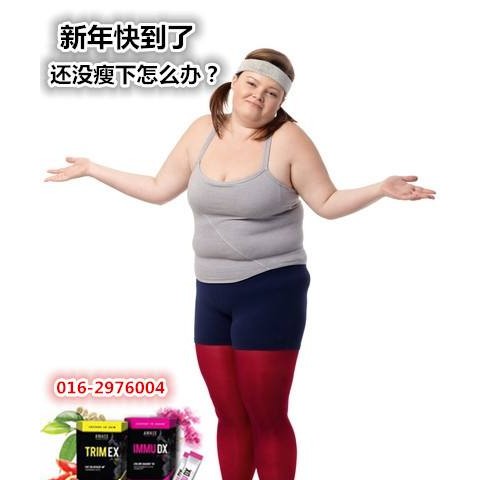 Amace Trim EX + Amace Immu DX图3