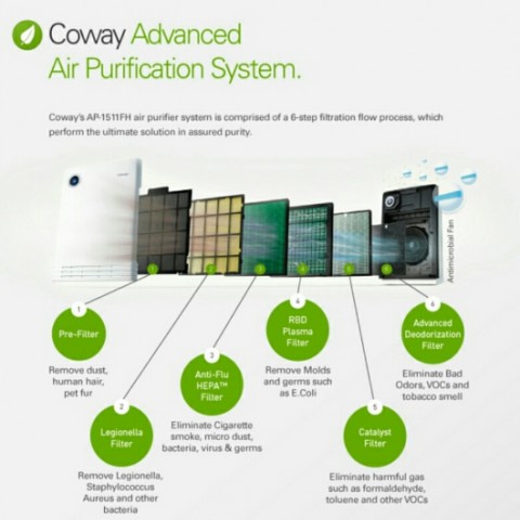 Lombok2 AP-1511FHE图3