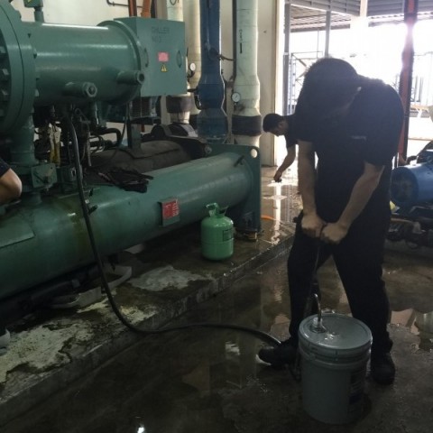 Chiller System Compressor Oil Change Service图3
