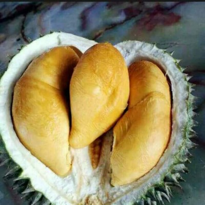 Durian Food