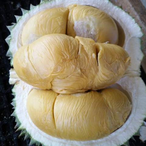 Durian Food图2