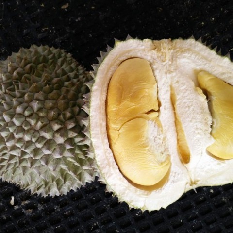 Durian Food图3