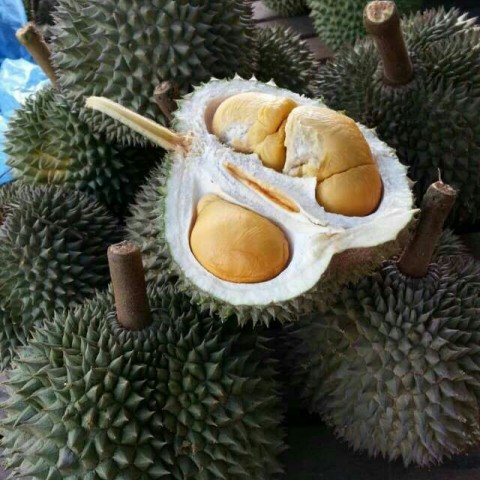 Durian Black thorns 2图3