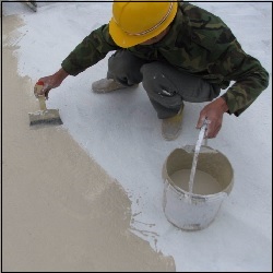 Membrane Coating 250 S