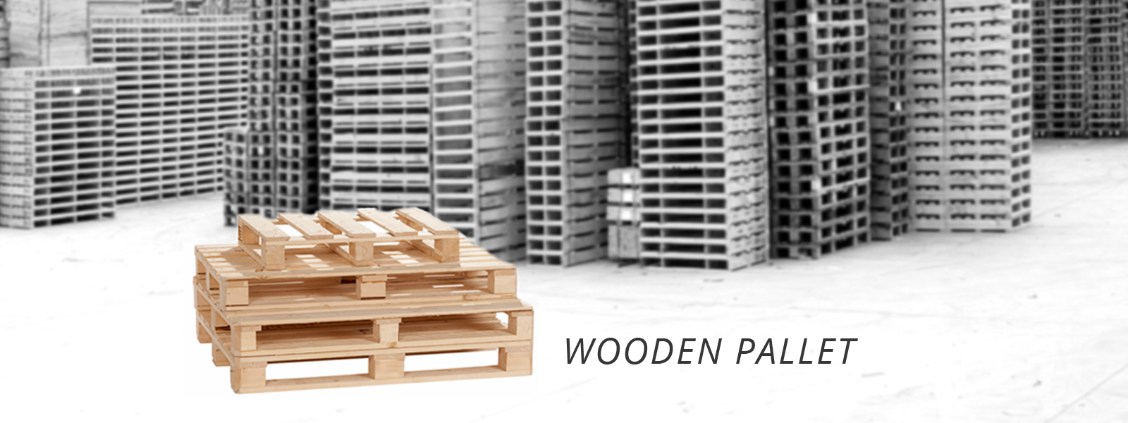 PESONEX SDN BHD - PLASTIC PALLET | WOODEN PALLET