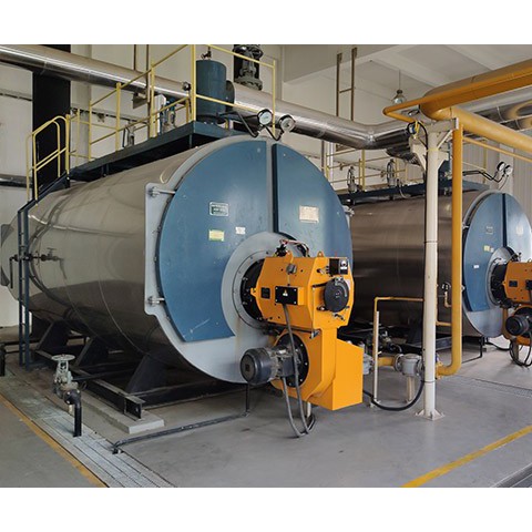 Gas Fired Integrated Steam Boilerͼ2