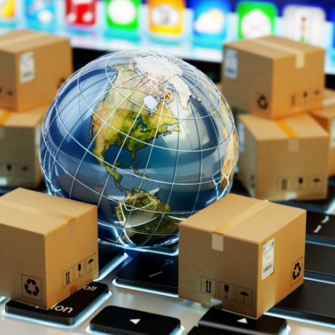 Global Parcel Delivery Software图3