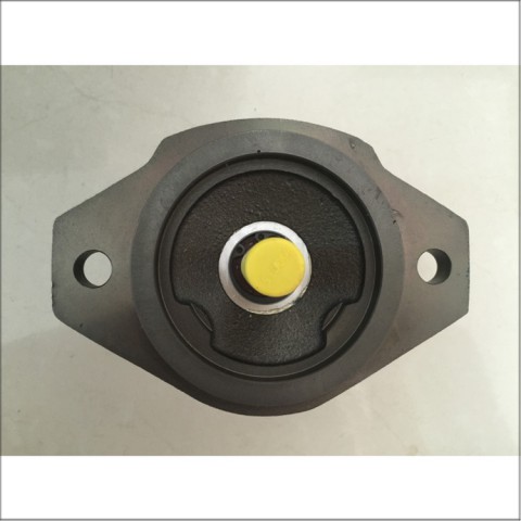 internal gear pump图3