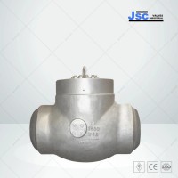 Pressure Seal Swing Check Valve