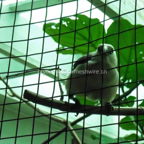 Welded Wire Netting PVC Coating Wholesaleͼ3