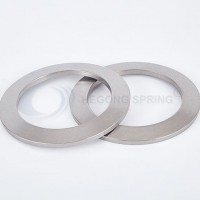 High Temperature Disc Springs