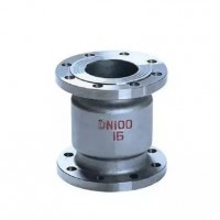 Vertical Lift Check Valve