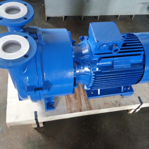Liquid Ring Vacuum Pump (2BV2060)图4