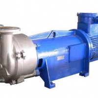 Liquid Ring Vacuum Pump (2BV2060)