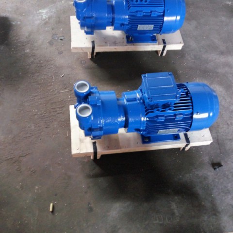 Liquid Ring Vacuum Pump (2BV2060)图3