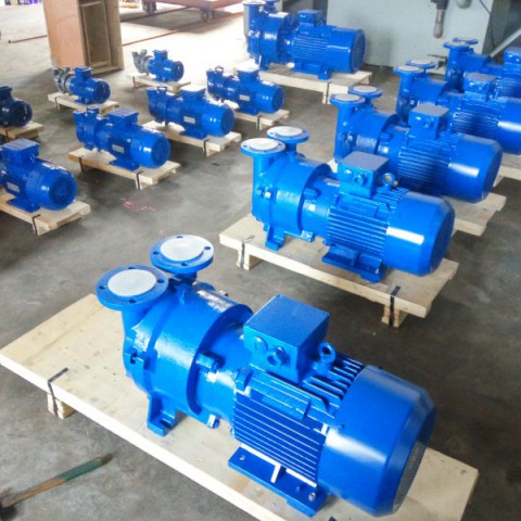 Liquid Ring Vacuum Pump (2BV2060)图6