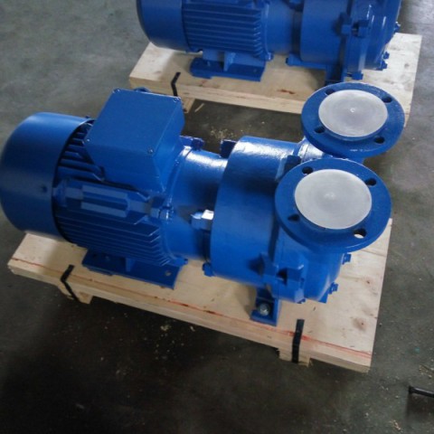 Liquid Ring Vacuum Pump (2BV2060)图7