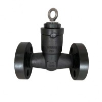 API 602 Swing Check Valve