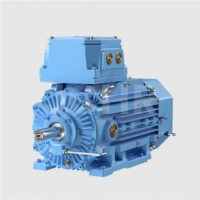 M3JP High Efficiency Flameproof Three-Phase Asynchronous Motor