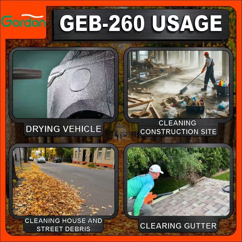 GORDON 2 Stroke ENGINE HAND BLOWER图2