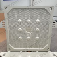 Chamber/Recessed Filter Plate