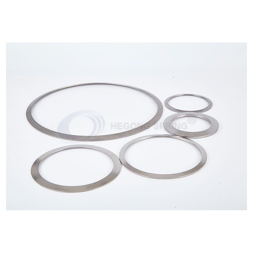 Disc Springs for Valves图2