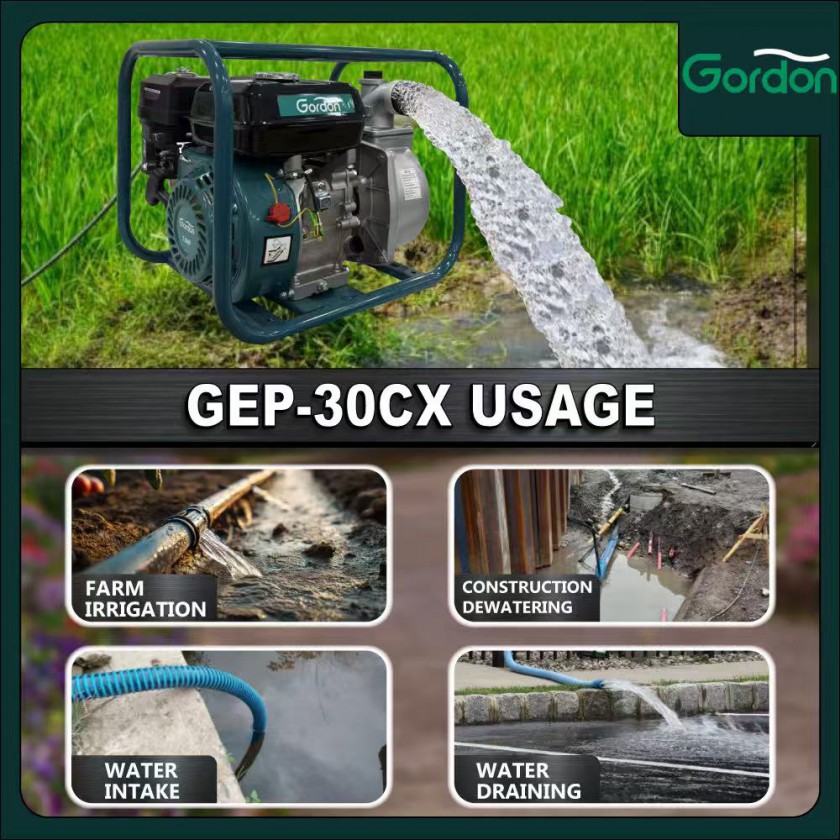 GORDON 3" GASOLINE ENGINE PUMP 3 inch图2