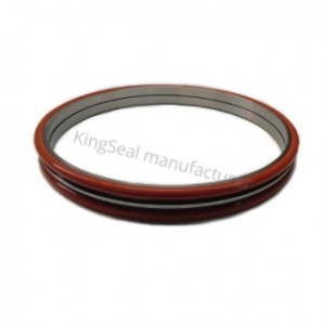 DO DF XY Duo Cone Seal & Heavy Dusty Seal